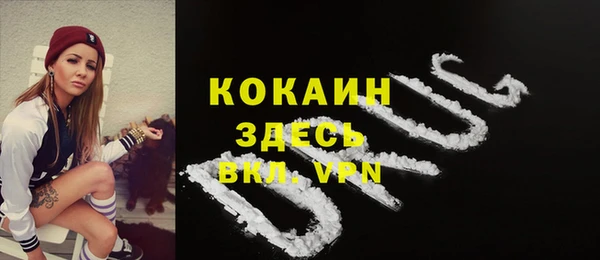 spice Куйбышев