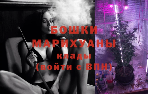первитин Краснослободск