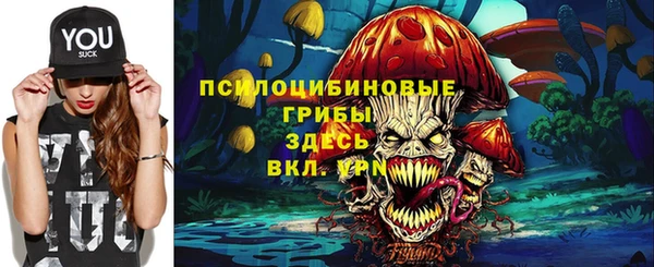 амф Костерёво