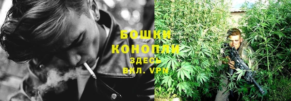 стафф Коряжма