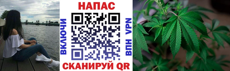 Купить  Вилюйск  Каннабис семена 